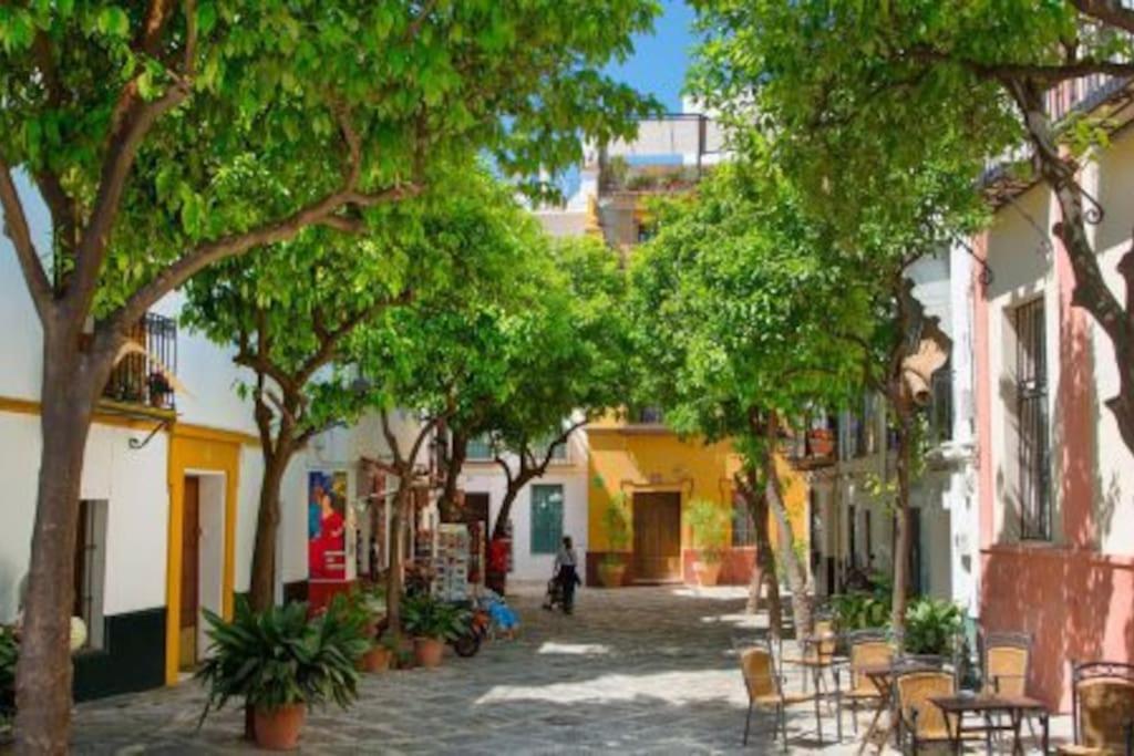 Beautiful Ap 3 Bedroom 6px Center Refurbished19 Apartment Seville